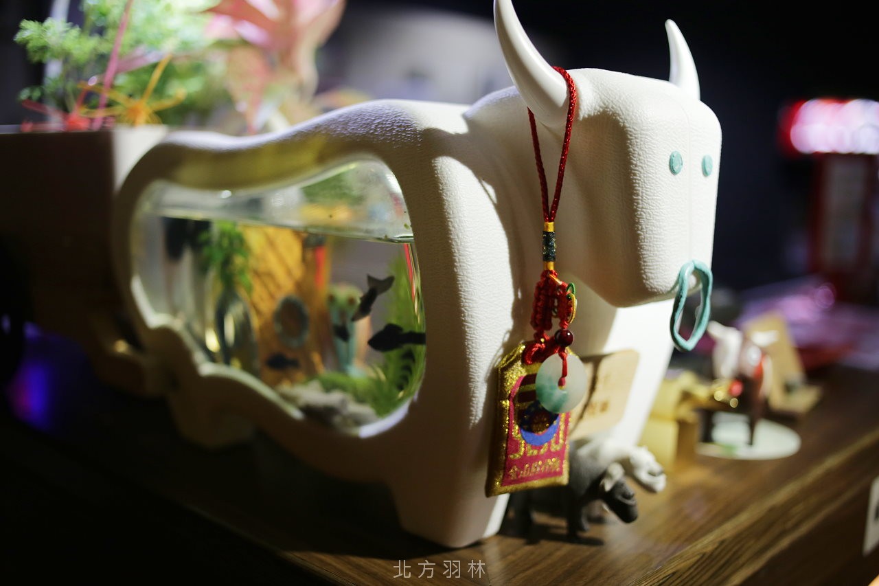 側邊一看,原來是一個迷你小魚缸