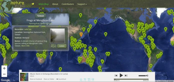 自然之聲 來自世界各地400多個森林的實況錄音
