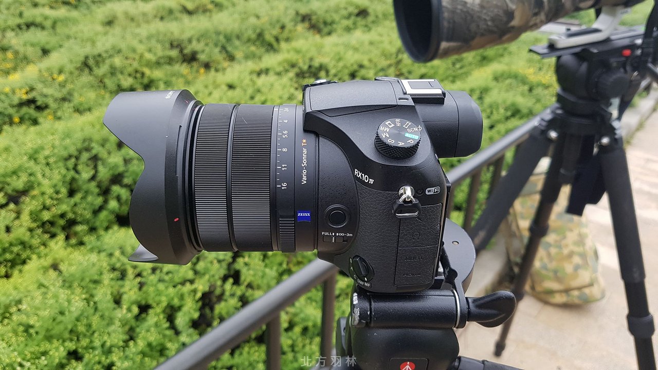 RX10 IV本身不到1100g 加上 Manfrotto 728b 也不過2.9 Kg, 就拍鳥設備來說已經是非常輕便了。